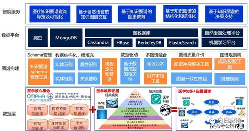 臨床大數據在醫院的應用與變現 數據處理服務先行