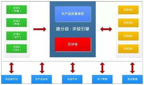 農業信用革命 數據驅動的水果分級與芝麻信用式服務